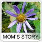My Mom's Story